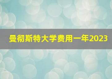 曼彻斯特大学费用一年2023