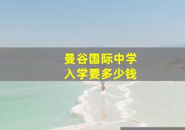 曼谷国际中学入学要多少钱