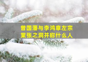 曾国藩与李鸿章左宗棠张之洞并称什么人