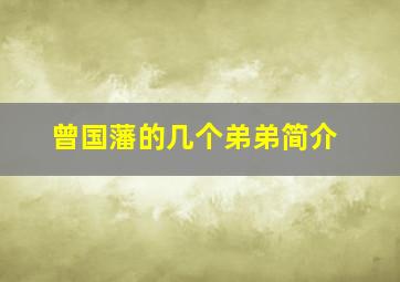 曾国藩的几个弟弟简介