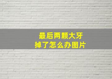 最后两颗大牙掉了怎么办图片