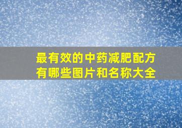 最有效的中药减肥配方有哪些图片和名称大全