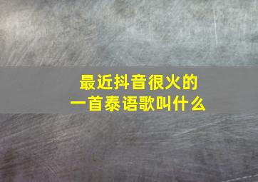 最近抖音很火的一首泰语歌叫什么