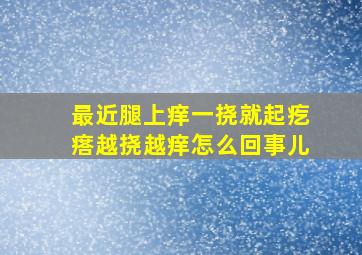 最近腿上痒一挠就起疙瘩越挠越痒怎么回事儿