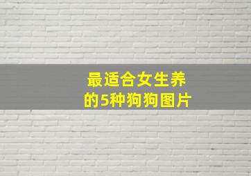 最适合女生养的5种狗狗图片