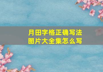 月田字格正确写法图片大全集怎么写