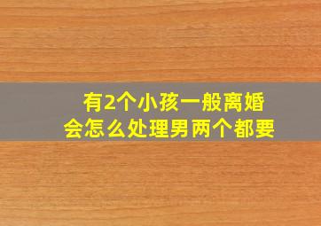 有2个小孩一般离婚会怎么处理男两个都要