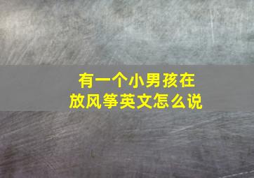 有一个小男孩在放风筝英文怎么说