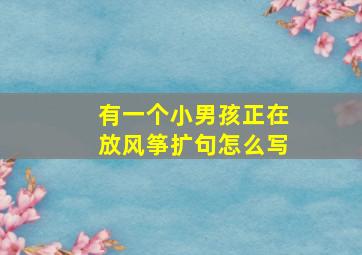 有一个小男孩正在放风筝扩句怎么写