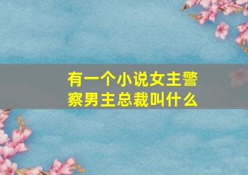 有一个小说女主警察男主总裁叫什么