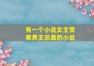 有一个小说女主警察男主总裁的小说