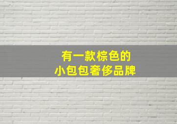 有一款棕色的小包包奢侈品牌