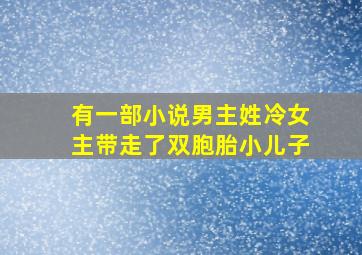 有一部小说男主姓冷女主带走了双胞胎小儿子