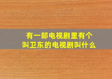 有一部电视剧里有个叫卫东的电视剧叫什么