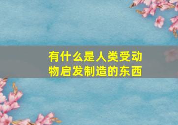 有什么是人类受动物启发制造的东西