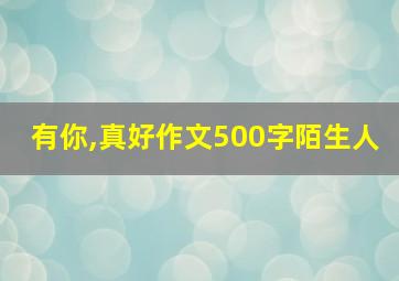 有你,真好作文500字陌生人