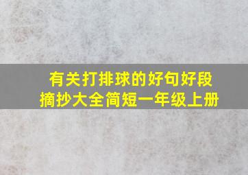 有关打排球的好句好段摘抄大全简短一年级上册