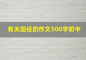 有关田径的作文500字初中