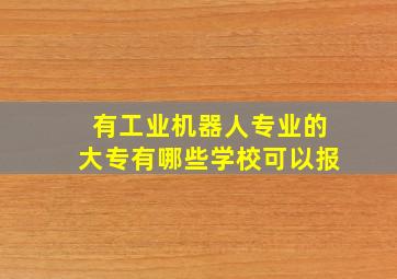 有工业机器人专业的大专有哪些学校可以报