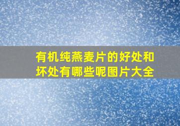 有机纯燕麦片的好处和坏处有哪些呢图片大全