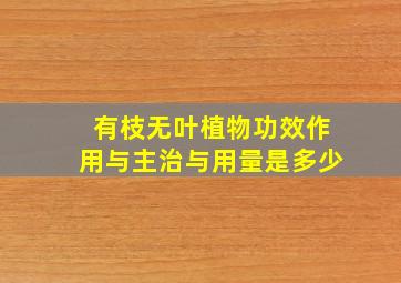 有枝无叶植物功效作用与主治与用量是多少