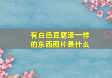 有白色豆腐渣一样的东西图片是什么