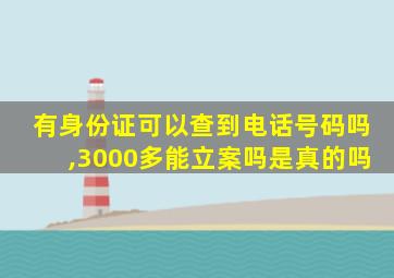 有身份证可以查到电话号码吗,3000多能立案吗是真的吗