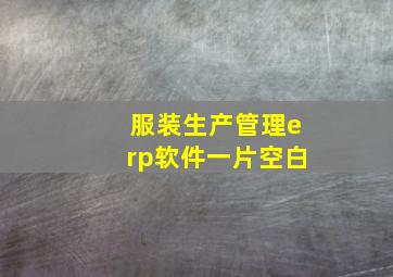 服装生产管理erp软件一片空白