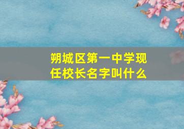 朔城区第一中学现任校长名字叫什么