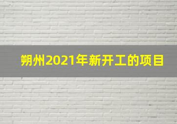 朔州2021年新开工的项目