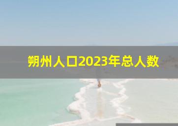 朔州人口2023年总人数