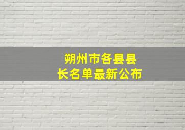 朔州市各县县长名单最新公布