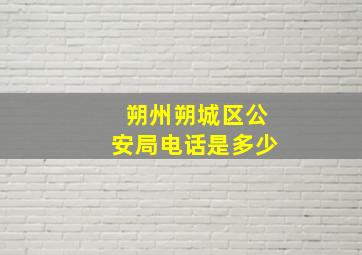 朔州朔城区公安局电话是多少