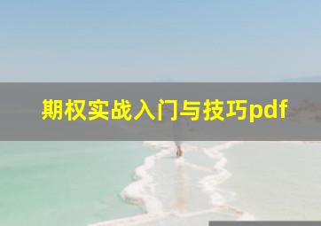 期权实战入门与技巧pdf