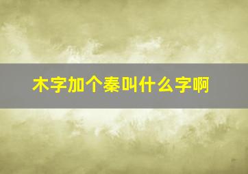 木字加个秦叫什么字啊