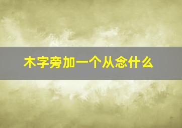 木字旁加一个从念什么