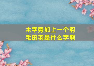 木字旁加上一个羽毛的羽是什么字啊