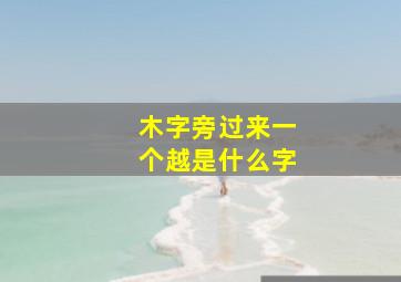 木字旁过来一个越是什么字