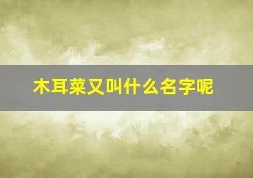 木耳菜又叫什么名字呢