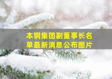 本钢集团副董事长名单最新消息公布图片