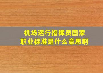 机场运行指挥员国家职业标准是什么意思啊