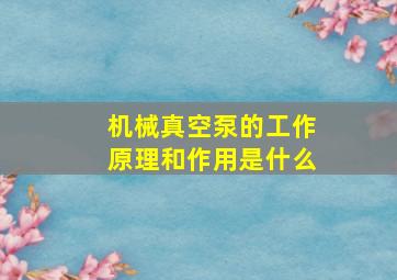 机械真空泵的工作原理和作用是什么