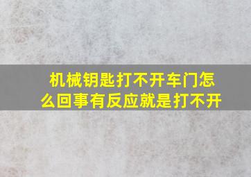 机械钥匙打不开车门怎么回事有反应就是打不开