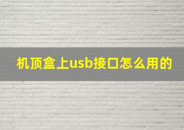 机顶盒上usb接口怎么用的