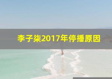 李子柒2017年停播原因