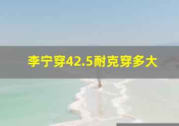 李宁穿42.5耐克穿多大