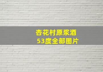 杏花村原浆酒53度全部图片