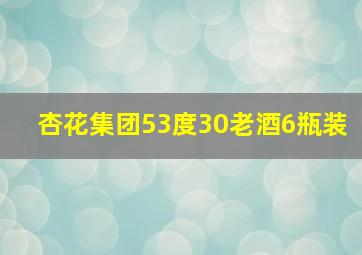 杏花集团53度30老酒6瓶装