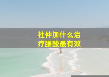 杜仲加什么治疗腰酸最有效