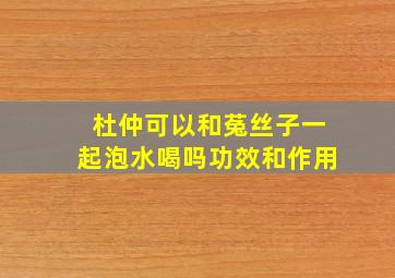 杜仲可以和菟丝子一起泡水喝吗功效和作用